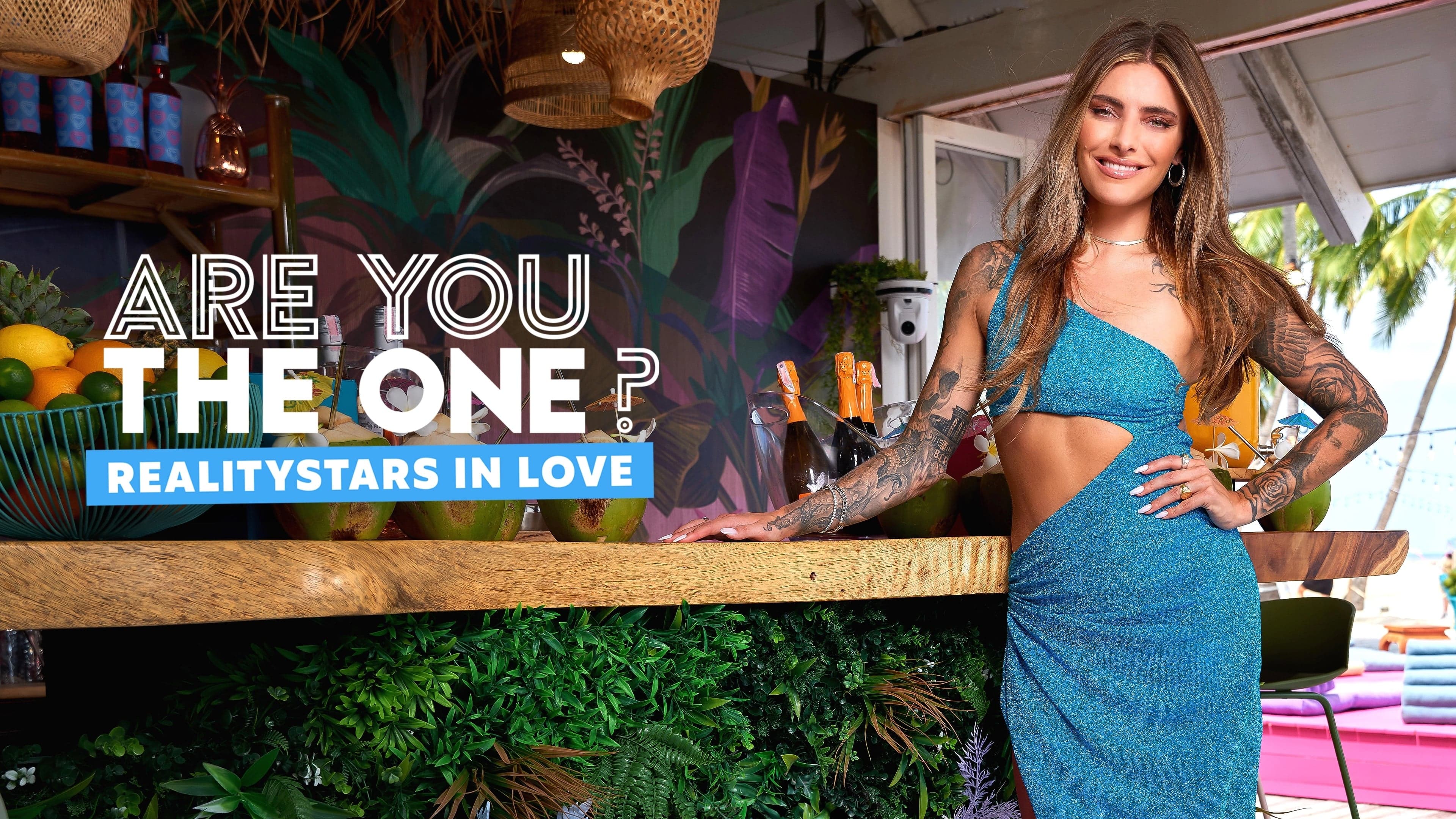 Are You The One – Reality Stars in Love Online