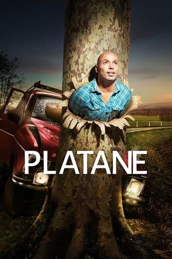 Platane Online