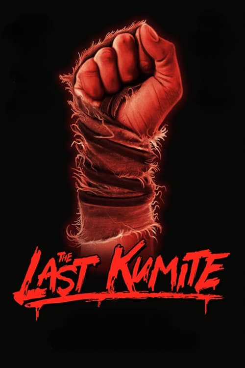 The Last Kumite Cały Film